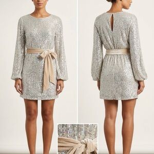 Dress Forum Long Sleeve Sequin Dress in Silver